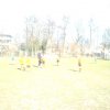 2003 Rava Rosmalen